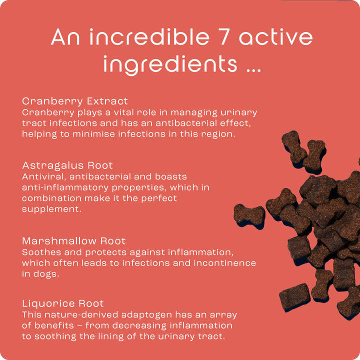 Total Urinary Care Treats for Dogs