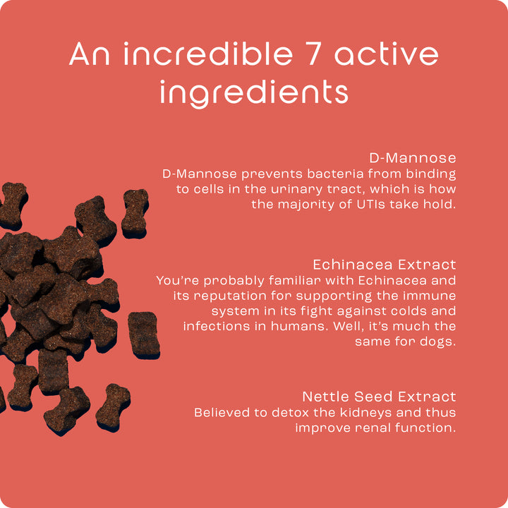 Total Urinary Care Treats for Dogs