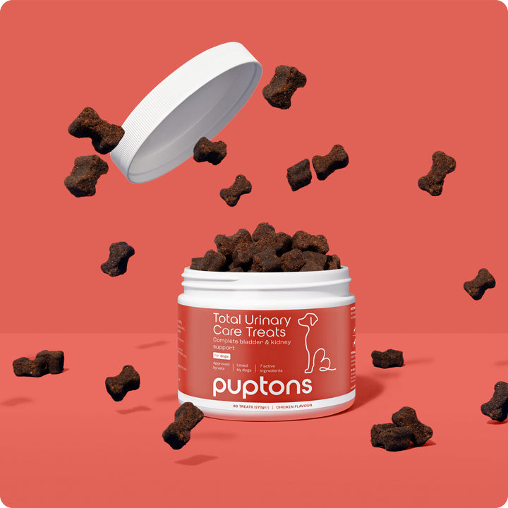 Total Urinary Care Treats for Dogs