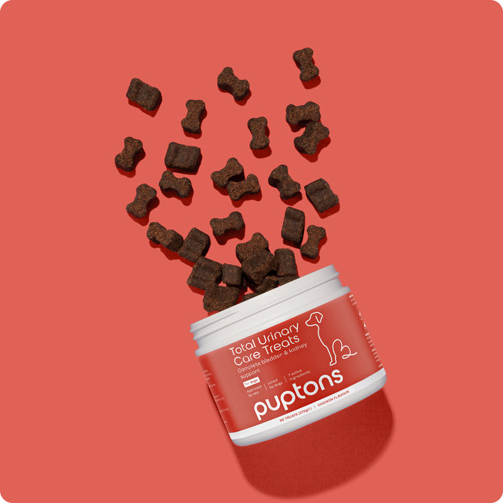 Total Urinary Care Treats for Dogs