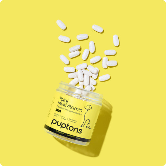 Vitamins Supplements For Dogs Cats And Horses Puptons vitamins-supplements-for-dogs-cats-and-horses-puptons