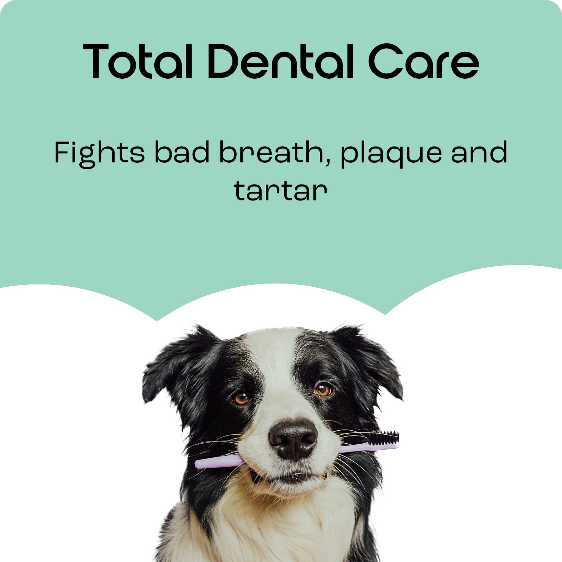 Total Dental Care Supplement For Dogs – Puptons